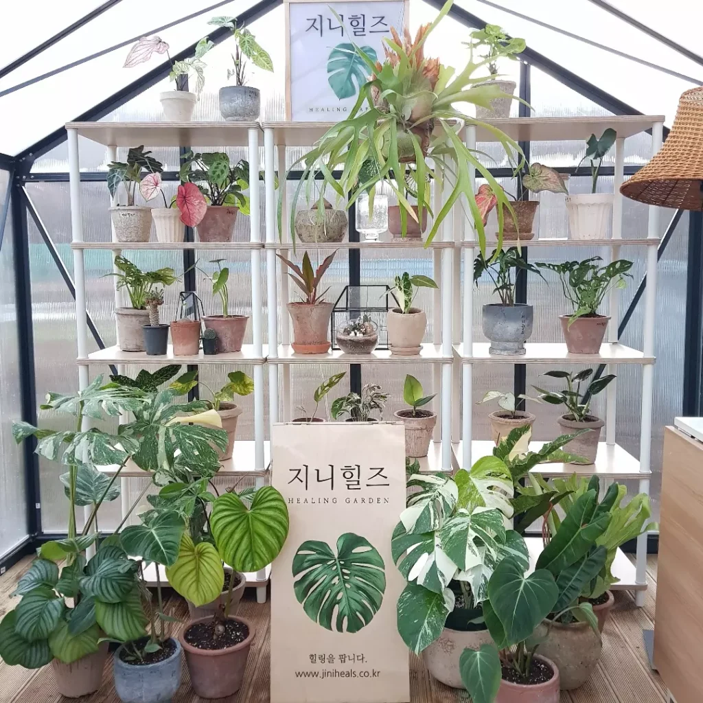 지니힐즈 온실